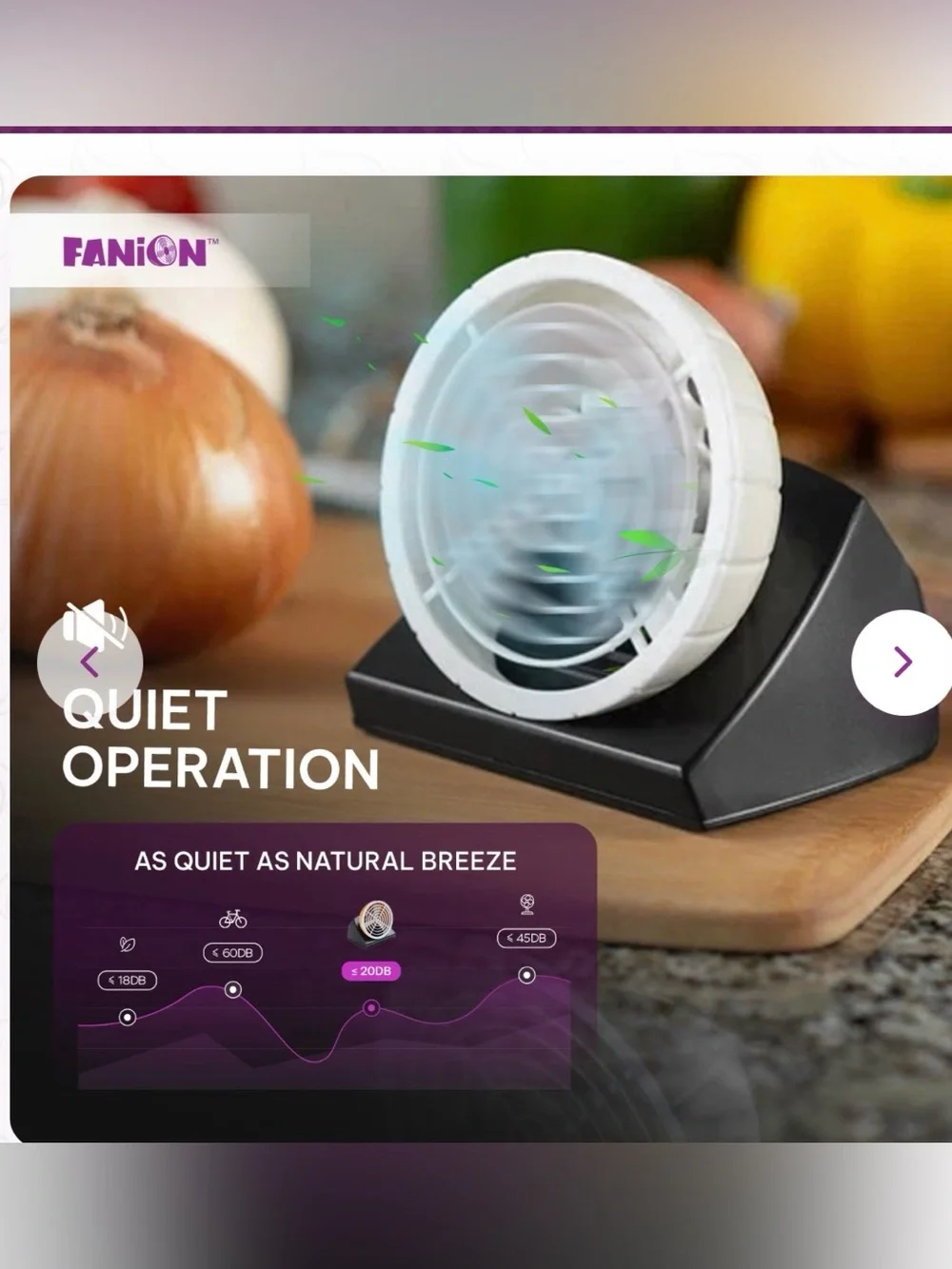 Fanion see pictures